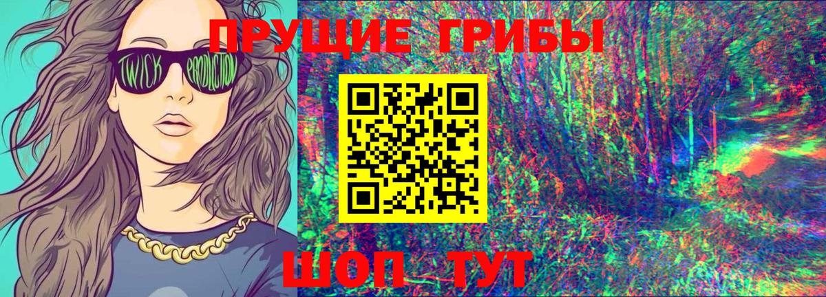 Псилоцибиновые грибы Cubensis Чебоксары